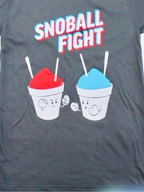 Next Level 🗺️ Apparel “Snoball Fight” Graphic T-Shirt Women’s XL Gray V-Neck GUC